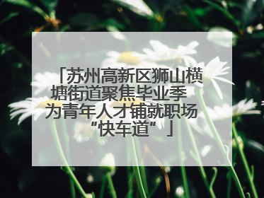苏州高新区狮山横塘街道聚焦毕业季 为青年人才铺就职场“快车道”