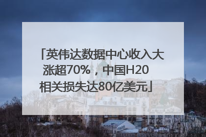 英伟达数据中心收入大涨超70%，中国H20相关损失达80亿美元