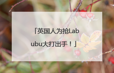英国人为抢Labubu大打出手！