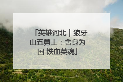 英雄河北｜狼牙山五勇士：舍身为国 铁血英魂