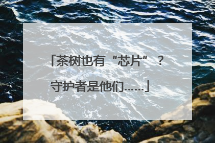 茶树也有“芯片”？守护者是他们……