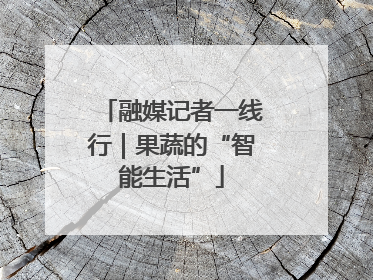 融媒记者一线行｜果蔬的“智能生活”