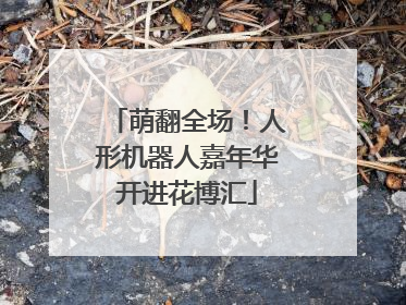 萌翻全场！人形机器人嘉年华开进花博汇