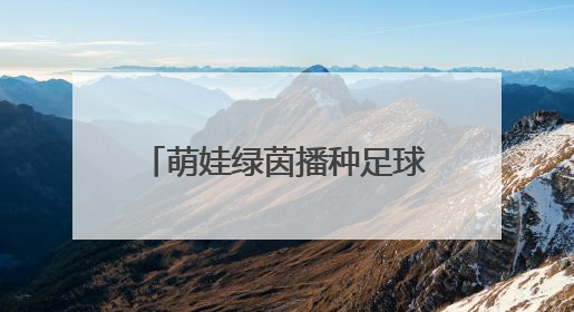 萌娃绿茵播种足球梦——LHK福宝之星第三届幼儿足球嘉年华精彩绽放