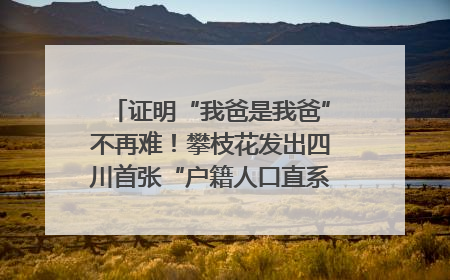 证明“我爸是我爸”不再难！攀枝花发出四川首张“户籍人口直系亲属关系谱”