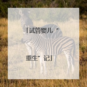 试管婴儿“重生”记