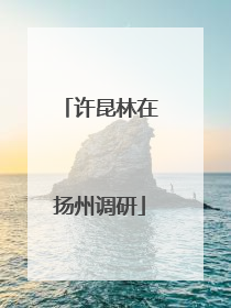 许昆林在扬州调研