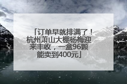 订单早就排满了！杭州萧山大棚杨梅迎来丰收，一盒96颗能卖到400元