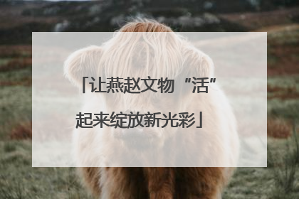 让燕赵文物“活”起来绽放新光彩