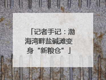 记者手记：渤海湾畔盐碱滩变身“新粮仓”