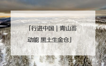行进中国｜青山蓄动能 黑土生金仓