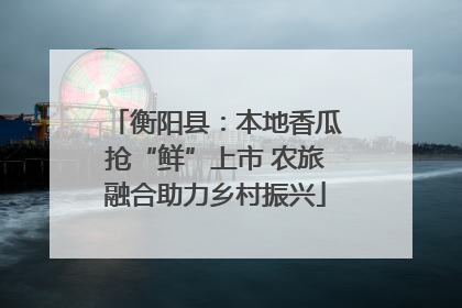 衡阳县：本地香瓜抢“鲜”上市 农旅融合助力乡村振兴
