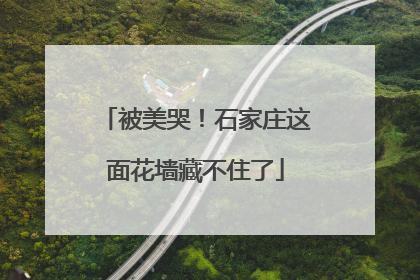 被美哭！石家庄这面花墙藏不住了