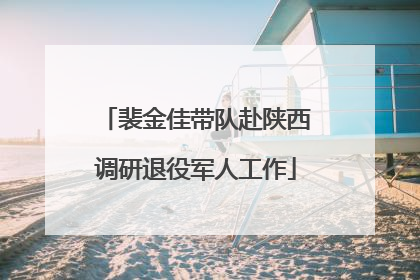 裴金佳带队赴陕西调研退役军人工作