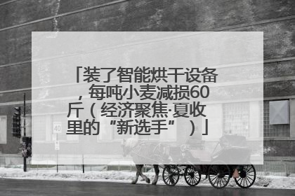 装了智能烘干设备，每吨小麦减损60斤（经济聚焦·夏收里的“新选手”）