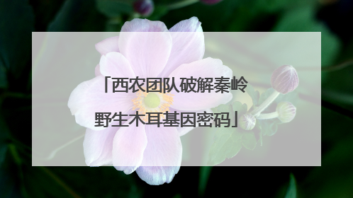 西农团队破解秦岭野生木耳基因密码