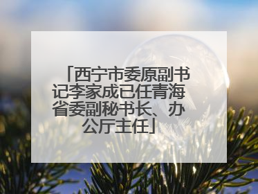 西宁市委原副书记李家成已任青海省委副秘书长、办公厅主任