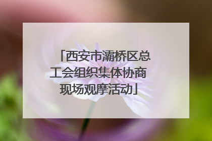 西安市灞桥区总工会组织集体协商现场观摩活动