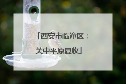 西安市临潼区：关中平原夏收