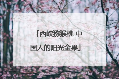西峡猕猴桃 中国人的阳光金果