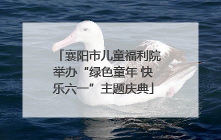 襄阳市儿童福利院举办“绿色童年 快乐六一”主题庆典
