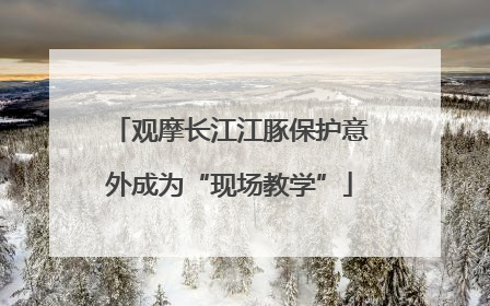 观摩长江江豚保护意外成为“现场教学”