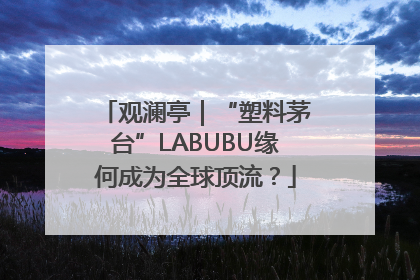 观澜亭｜“塑料茅台”LABUBU缘何成为全球顶流？