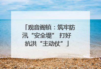 观音阁镇：筑牢防汛“安全堤” 打好抗洪“主动仗”