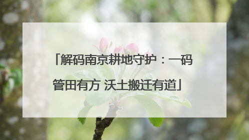 解码南京耕地守护：一码管田有方 沃土搬迁有道