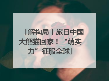 解构局丨旅日中国大熊猫回家！“萌实力”征服全球