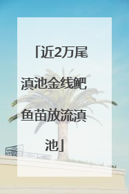 近2万尾滇池金线鲃鱼苗放流滇池
