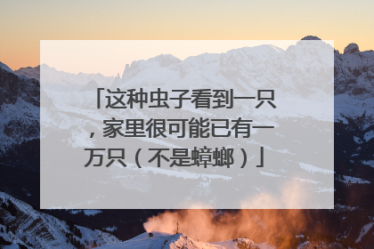 这种虫子看到一只，家里很可能已有一万只（不是蟑螂）