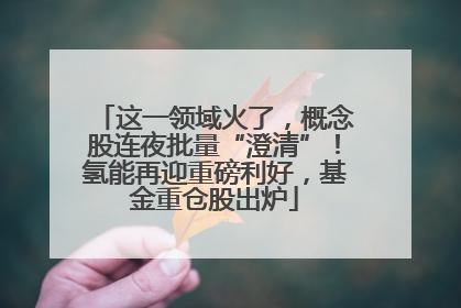 这一领域火了，概念股连夜批量“澄清”！氢能再迎重磅利好，基金重仓股出炉