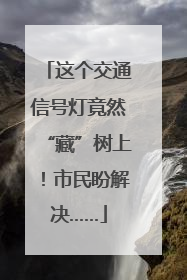 这个交通信号灯竟然“藏”树上！市民盼解决……