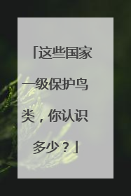 这些国家一级保护鸟类，你认识多少？
