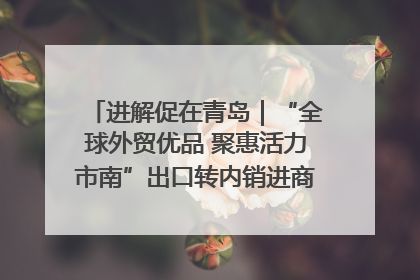 进解促在青岛｜“全球外贸优品 聚惠活力市南”出口转内销进商超专场活动启动