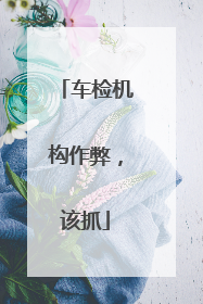 车检机构作弊，该抓