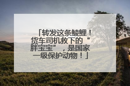 转发这条鲮鲤！货车司机救下的“胖宝宝”，是国家一级保护动物！