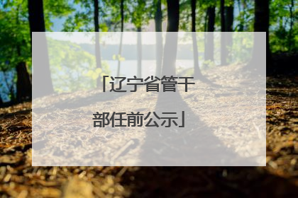 辽宁省管干部任前公示