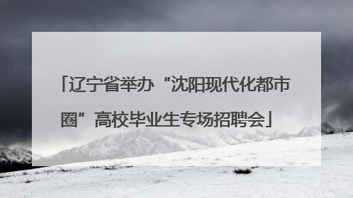 辽宁省举办“沈阳现代化都市圈”高校毕业生专场招聘会