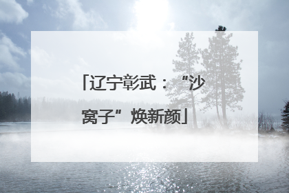 辽宁彰武：“沙窝子”焕新颜