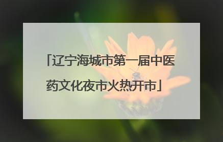 辽宁海城市第一届中医药文化夜市火热开市