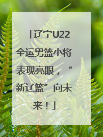 辽宁U22全运男篮小将表现亮眼，“新辽篮”向未来！