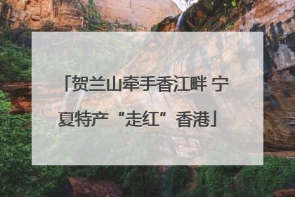 贺兰山牵手香江畔 宁夏特产“走红”香港