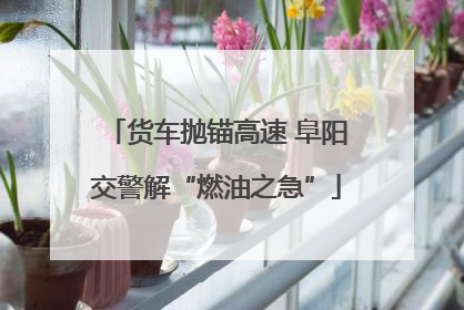 货车抛锚高速 阜阳交警解“燃油之急”