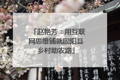赵艳芳：用互联网思维铺就固阳县乡村助农路