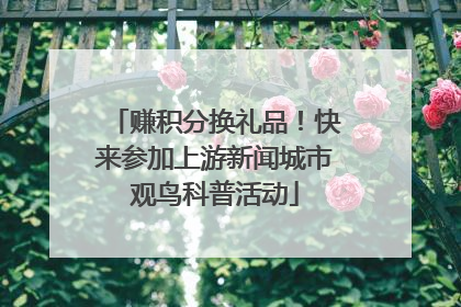 赚积分换礼品！快来参加上游新闻城市观鸟科普活动