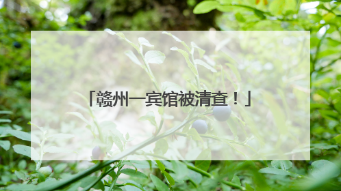 赣州一宾馆被清查！