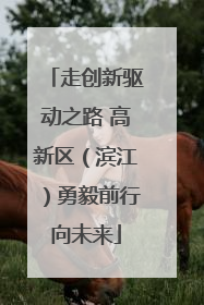 走创新驱动之路 高新区（滨江）勇毅前行向未来