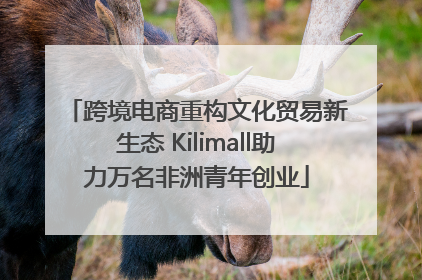跨境电商重构文化贸易新生态 Kilimall助力万名非洲青年创业